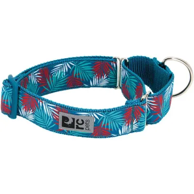 RC PETS EASY CLIP WEB TRAINING COLLAR MALDIVES 1' WIDE MEDIUM 14"-19" - DISCONTINUED PATTERN