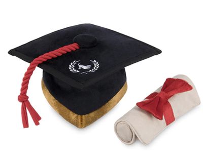 PLAY BACK TO SCHOOL K9 SCHOLAR