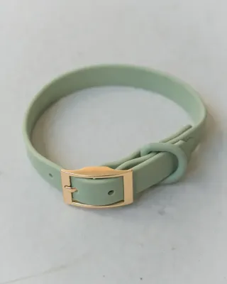 Dexypaws Waterproof Collar Sage Medium