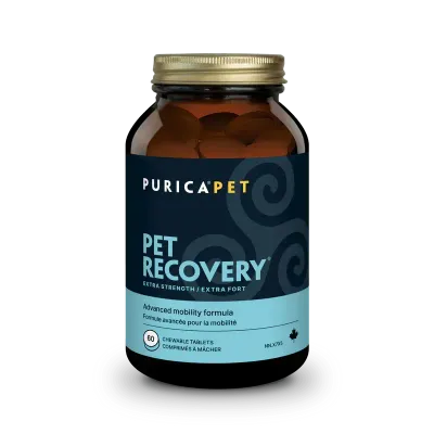 Purica Recovery Extra Strength Chewable Tablets 60Ct