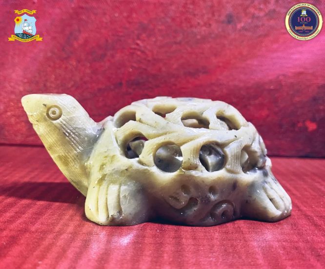 Turtle with inner cut baby turtle - Gaurahari Enactus SRCC