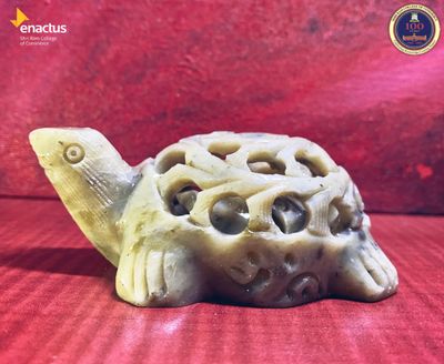 Turtle with inner cut baby turtle - Gaurahari Enactus SRCC