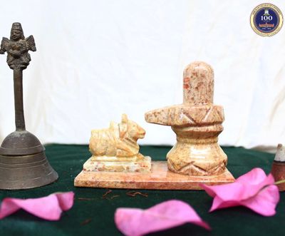 Store Nandi Shivling- Gaurahari Enactus SRCC