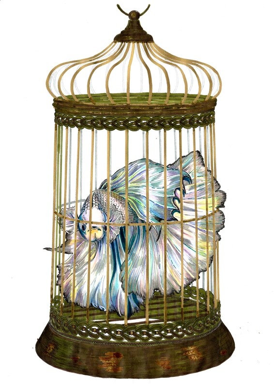 CAGED