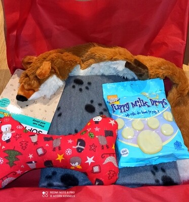 Puppy Christmas Gift Box