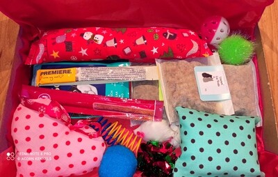 Kitty Christmas Standard Gift Box