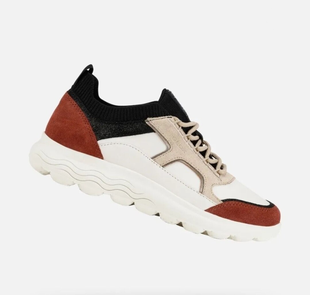 Geox spherica multicolor