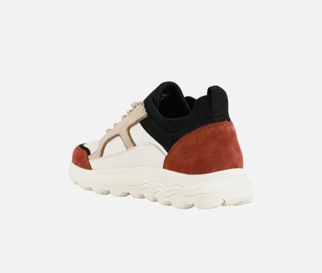 Geox spherica multicolor