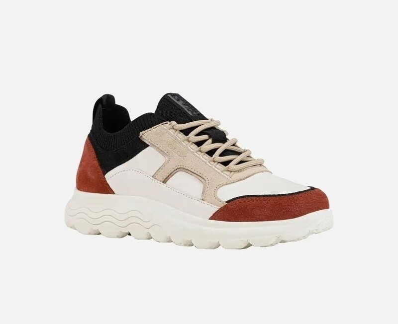 Geox spherica multicolor