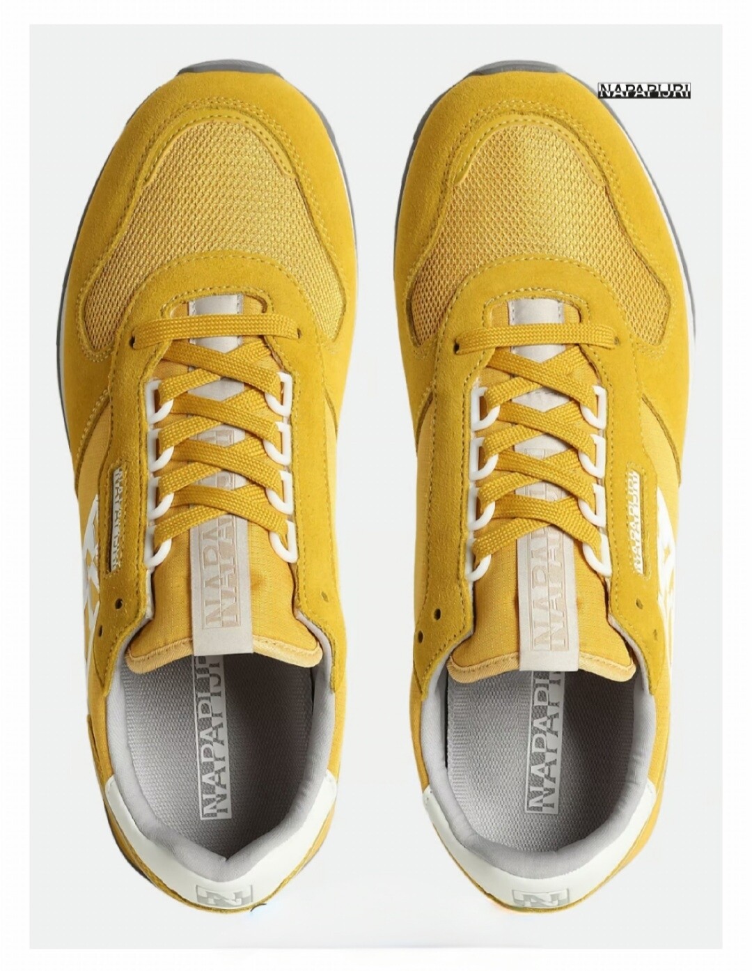 Napapjiri virtus giallo