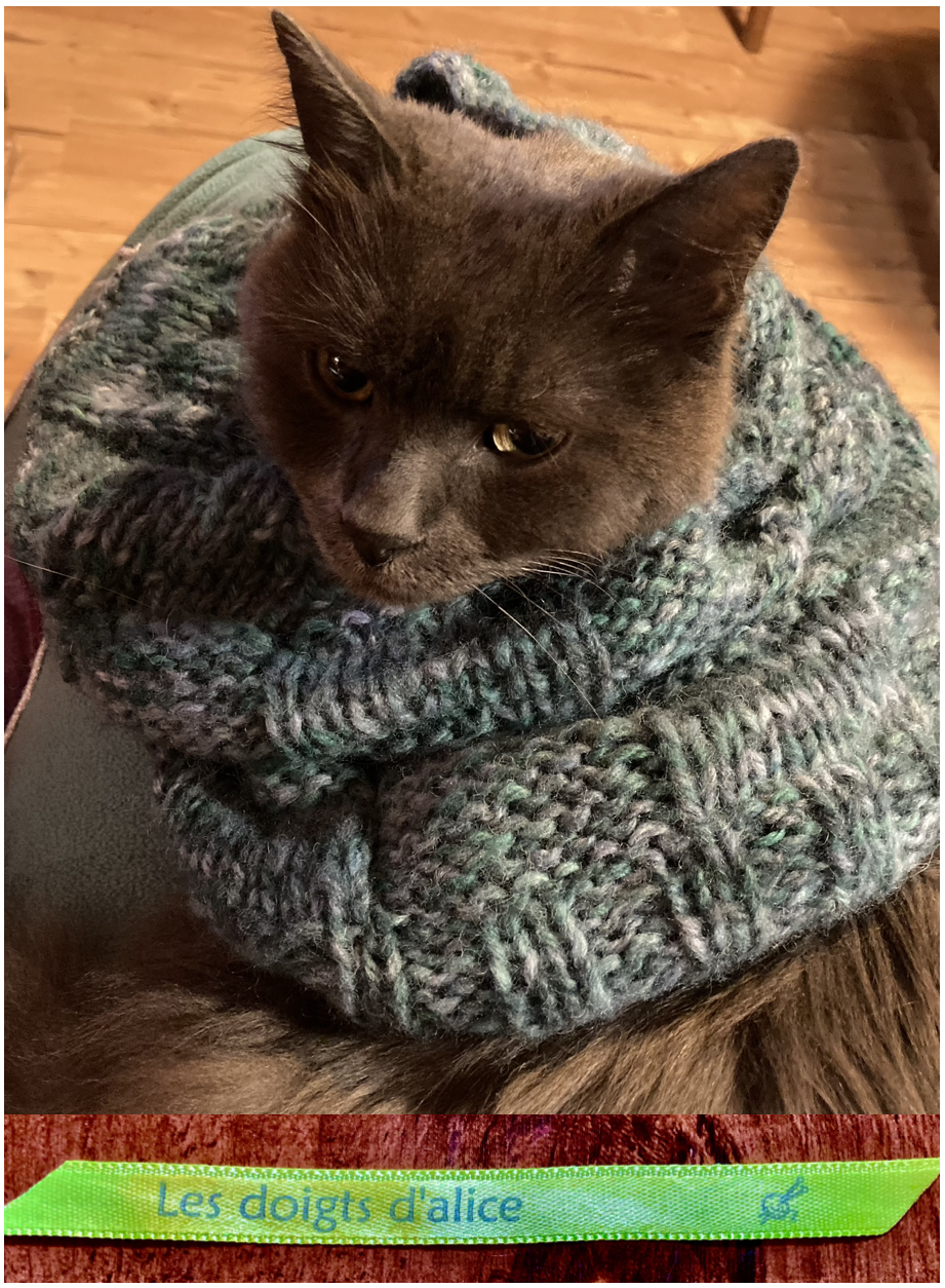 SNOOD damiers