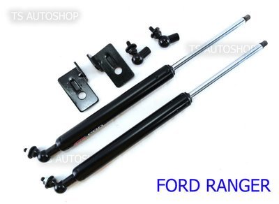 Bonnet Shocks