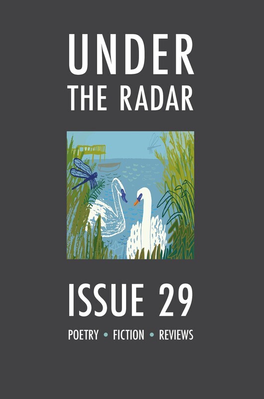 Under the Radar Issue 29 (single issue)