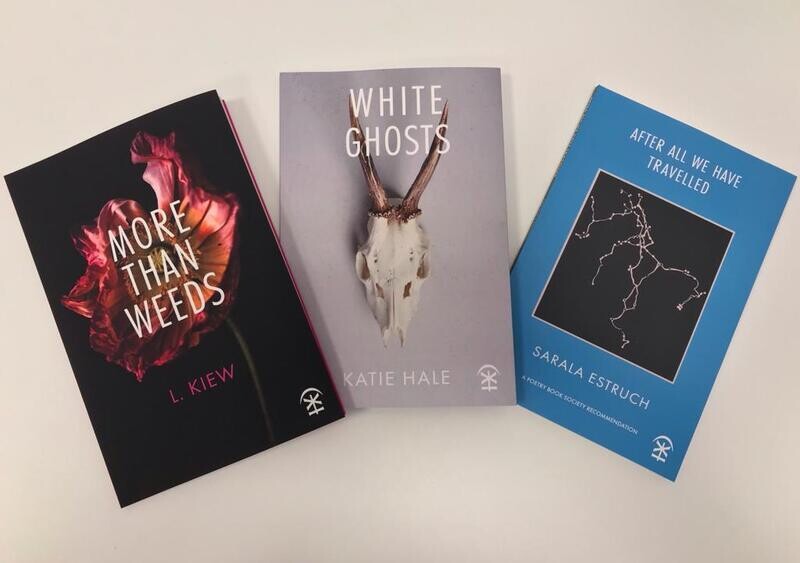 Book Bundle Trio
