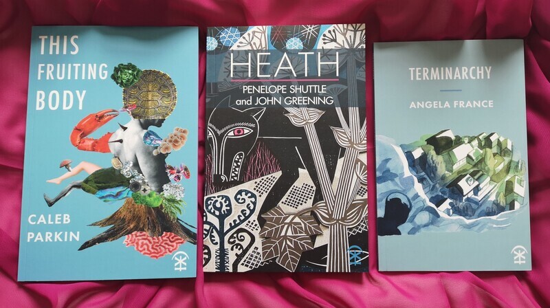 Nature &amp; Ecopoetics - a curated book trio