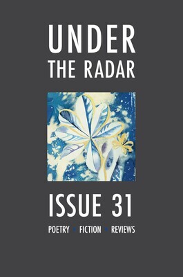 Under the Radar Issue 31 (single issue)
