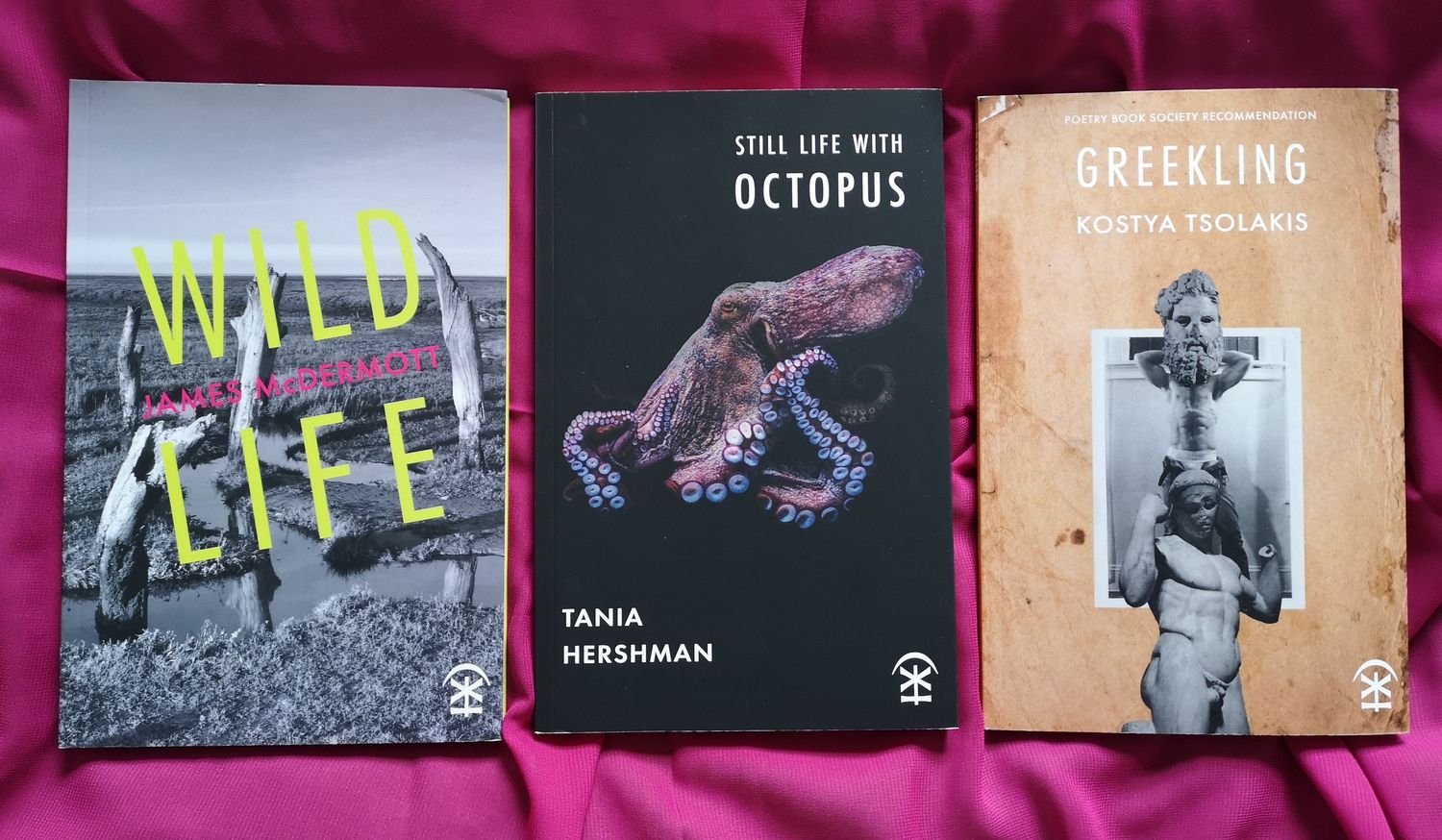 Pride Collection - a curated book trio