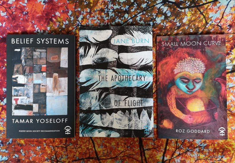 Art, Literature and Imagination - a curated book trio