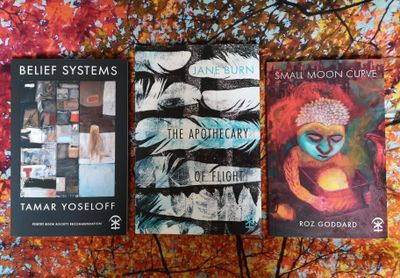 Art, Literature and Imagination - a curated book trio