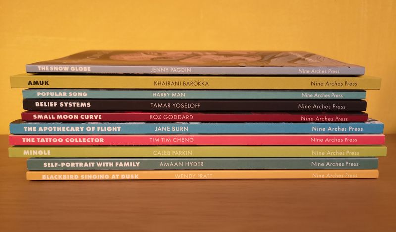 Books of 2024 - set of 10 solo collections