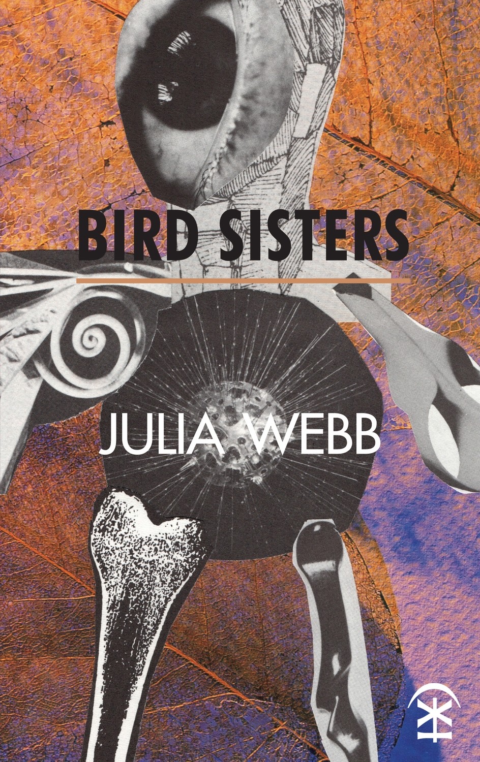 Bird Sisters - Julia Webb