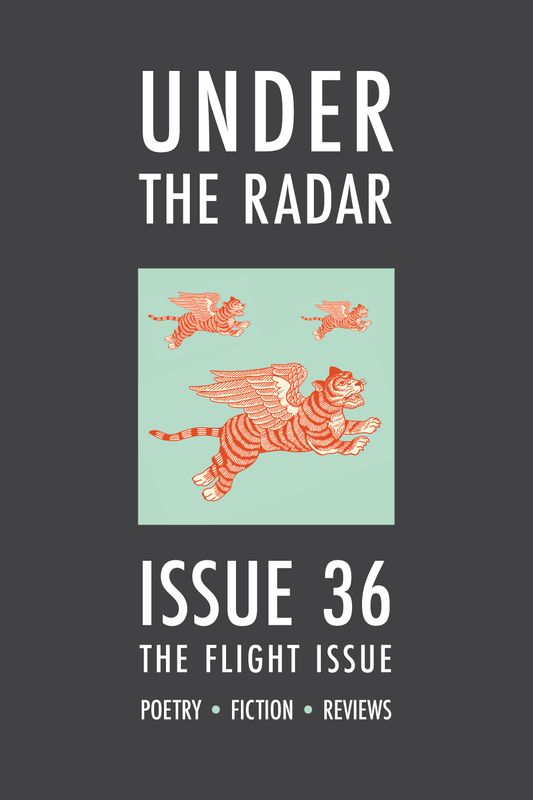 Under the Radar Issue 36 (single issue)