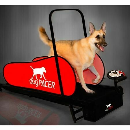 dogPACER LF 3.1, Laufband für Hunde bis 80 kg