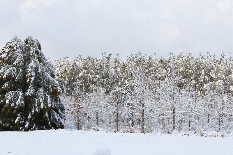 First Snow (Washington, NC)