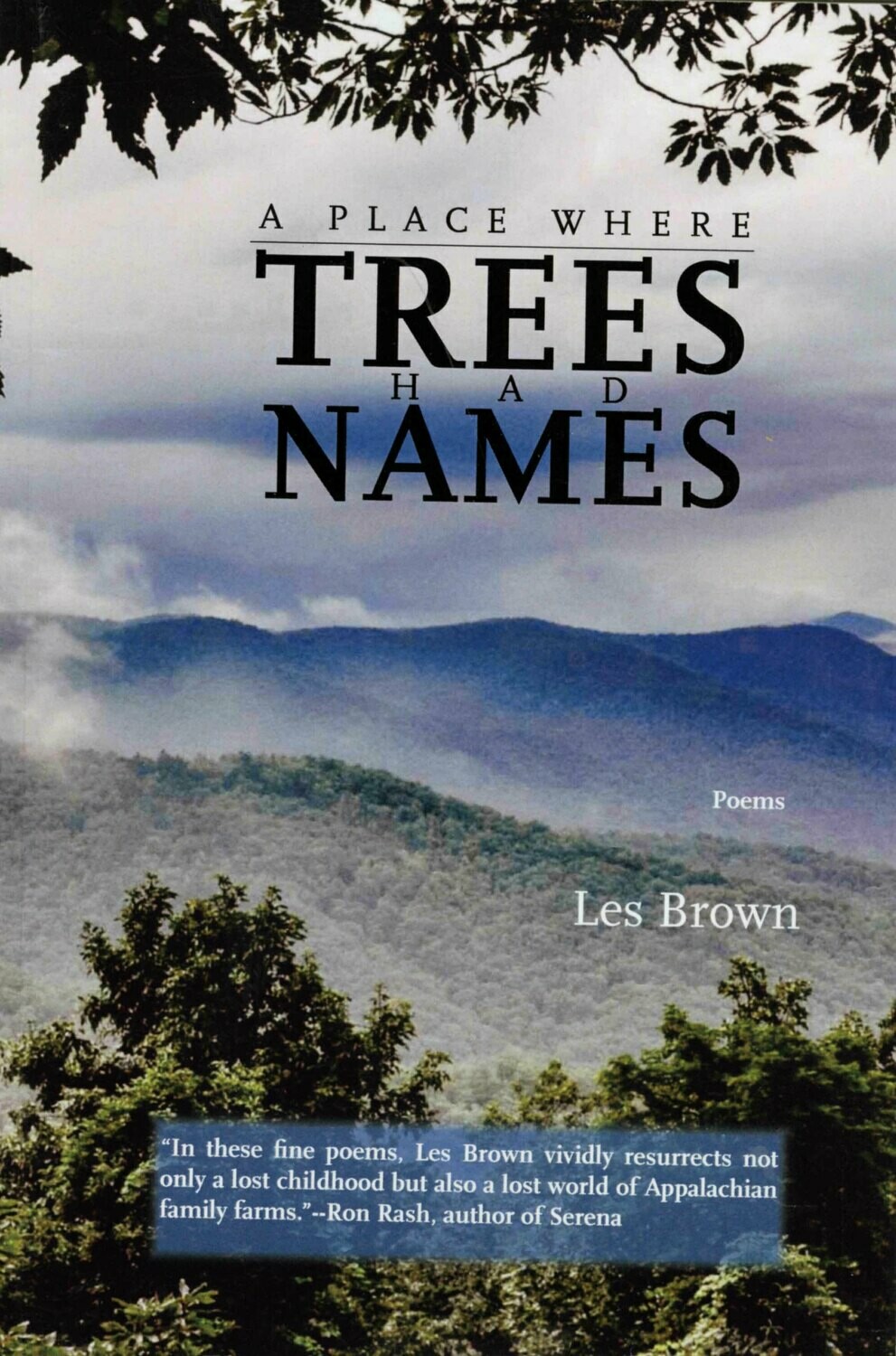 A Place Where Trees Had Names