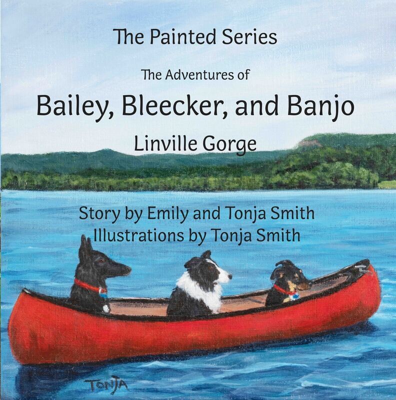 Bailey, Bleecker, and Banjo: Linville Gorge