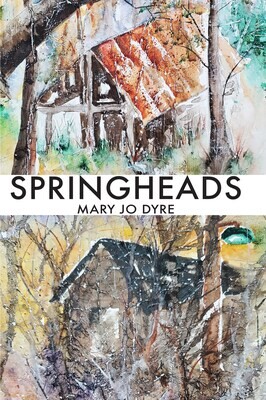 Springheads: A Novel
