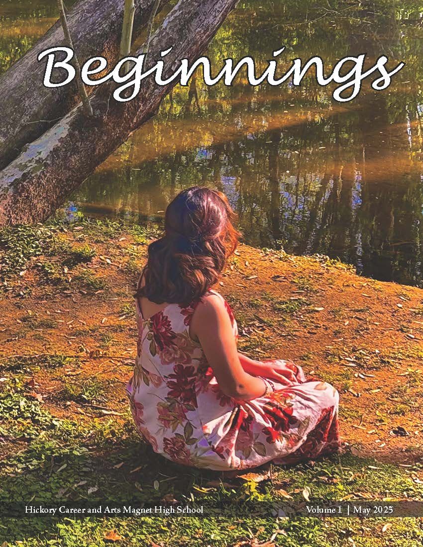 Beginnings