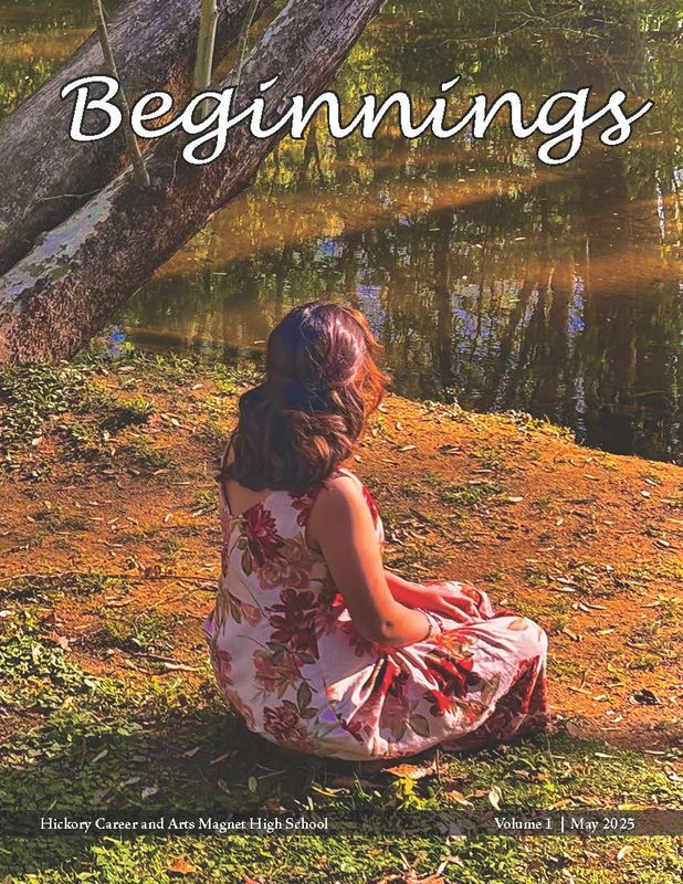 Beginnings