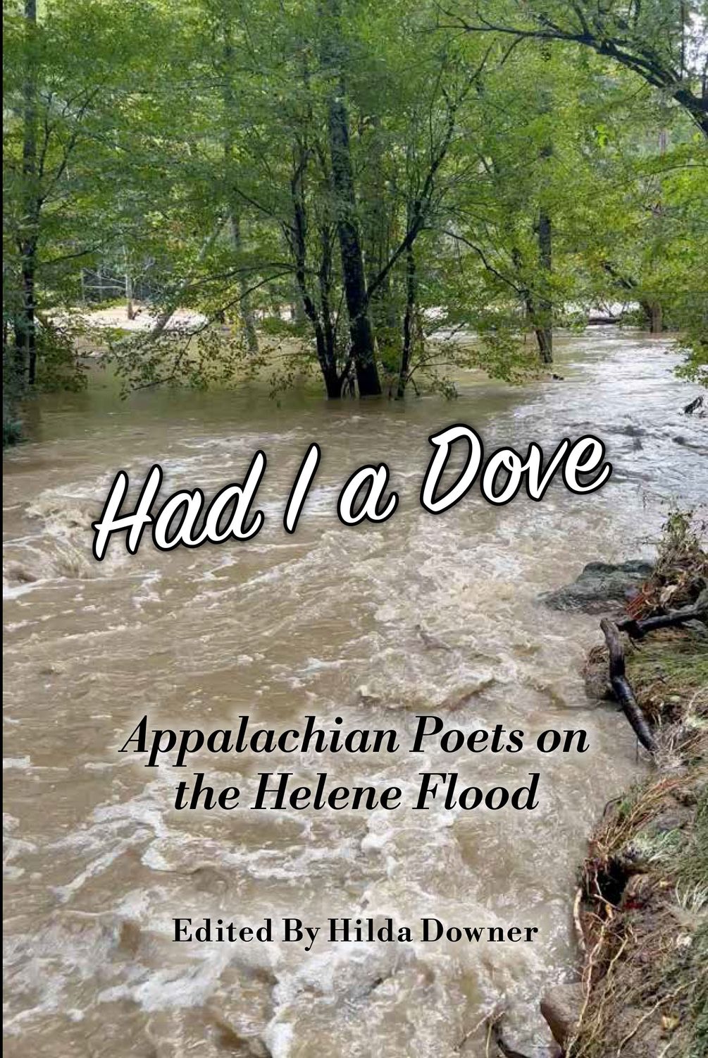Had I a Dove: Appalachian Poets on the Helene Floods