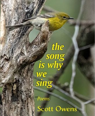 The Song is Why We Sing