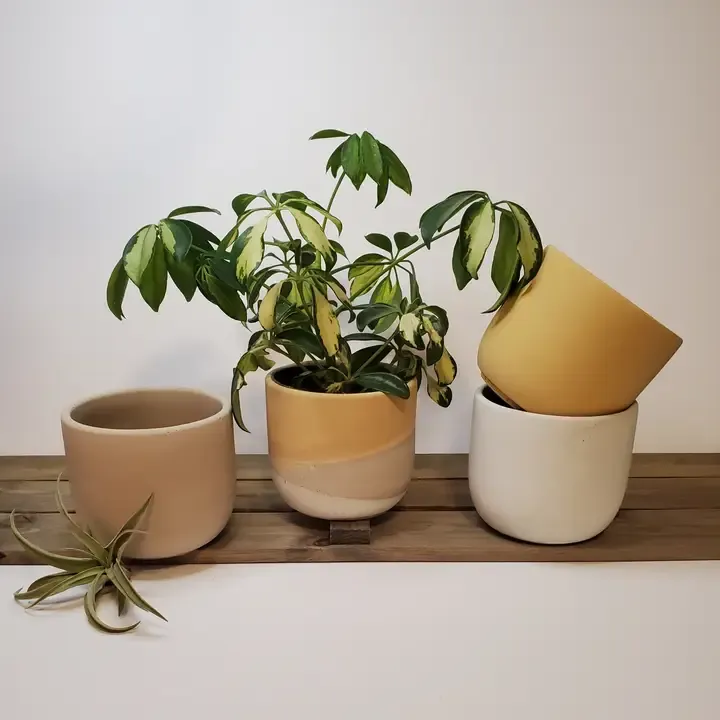 Prairies Sunrise Collection