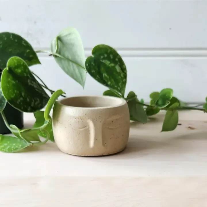 Nordic Face Planter