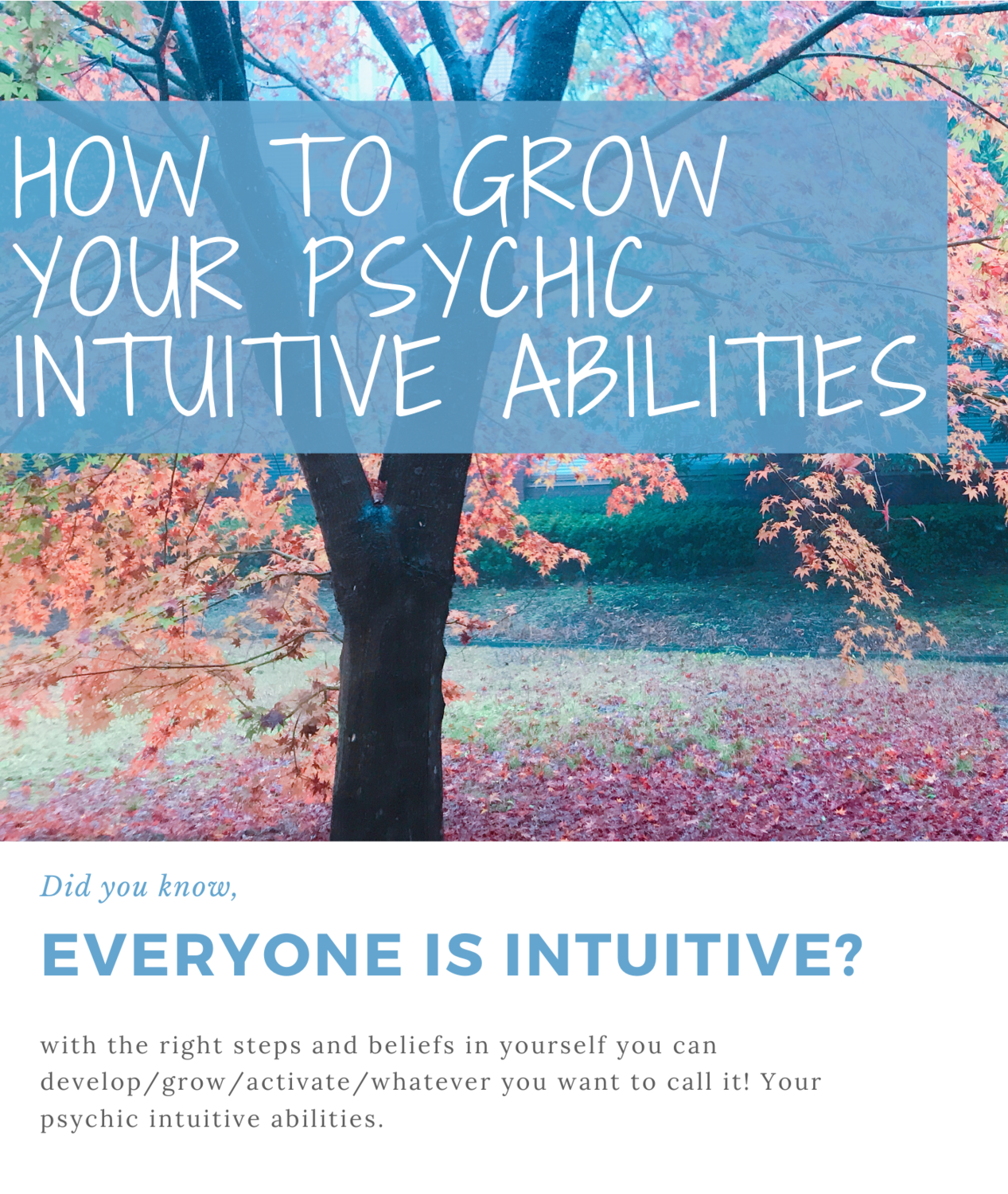 How to Grow Your Intuitive Abilities Workbook