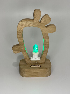 Top "Atmosfera" Luminaria Pala Fico d'India