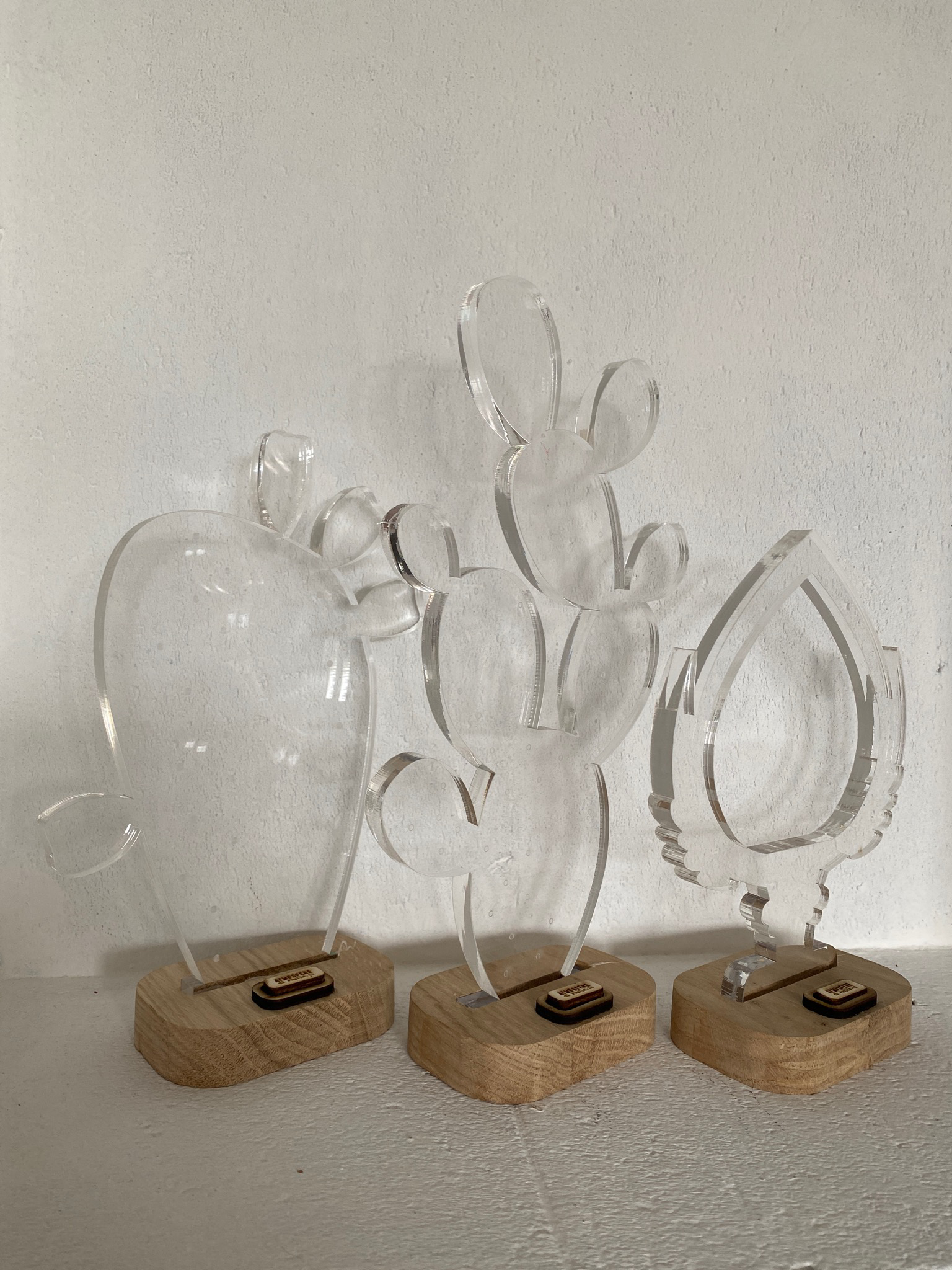 Lampada BOMBONIERA Ficodindia Trasparente