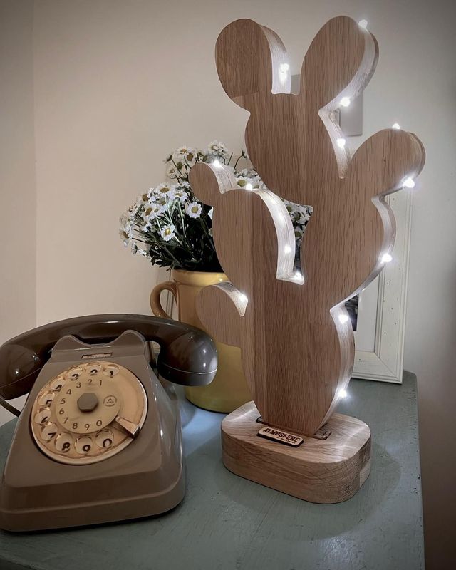 Lampada lucine Lampada lucine "Ficodindia" 25 luci