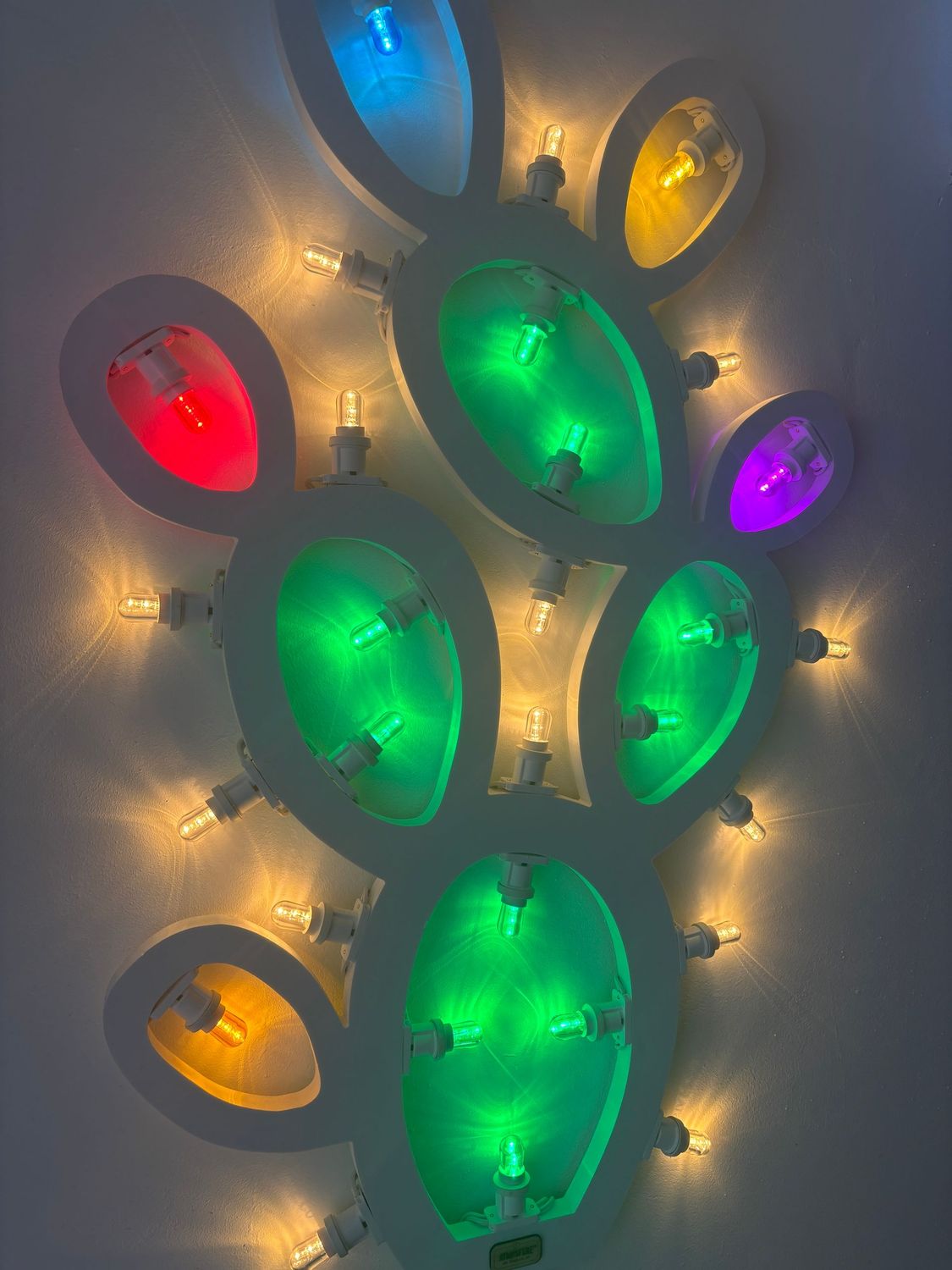 Fico d'india - CON FILO O RICARICABILE Fico d'india - CON FILO O RICARICABILE