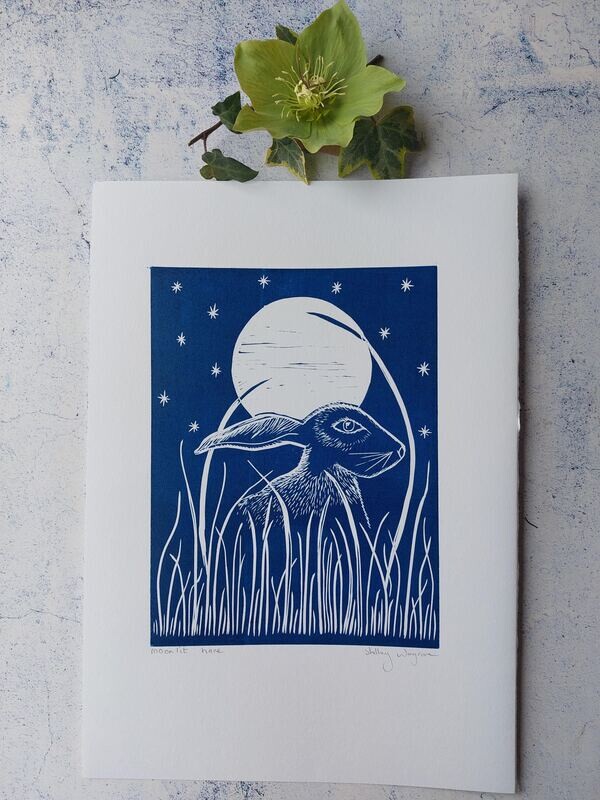 Moon-lit Hare