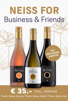 NEISS for Business &amp; Friends I