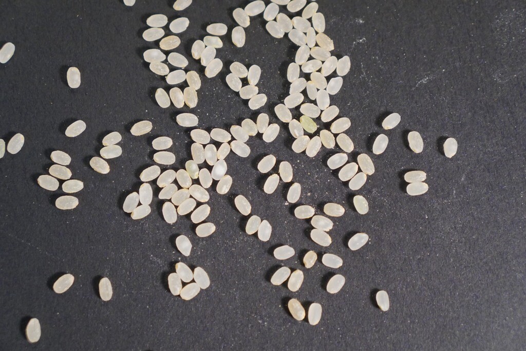 Riz du Vully 'Nana'
