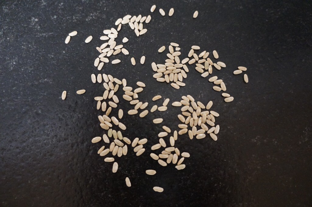 Riz du Vully 'Integral'