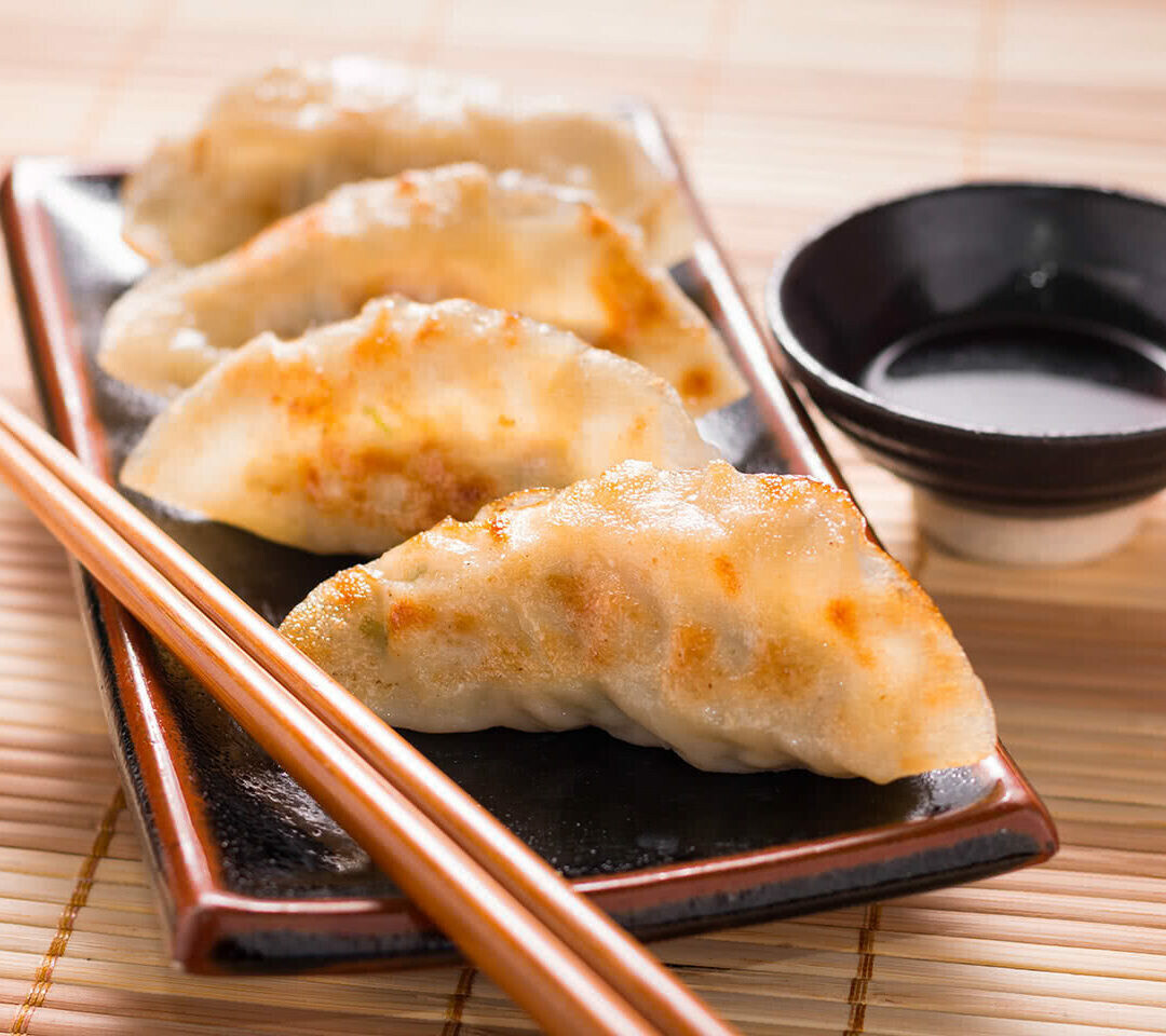 10.GYOZA KIP/DUMPLING