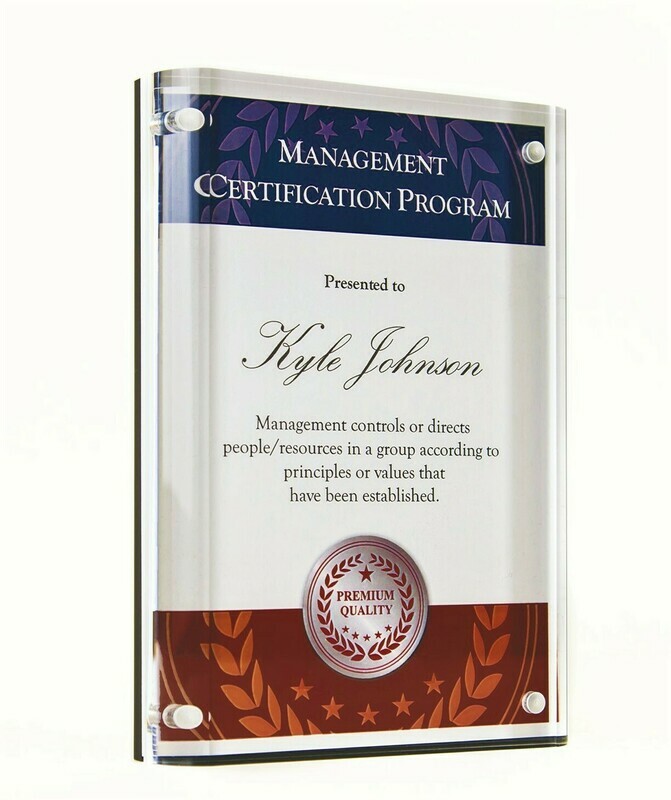Magnetic Acrylic Desk Award