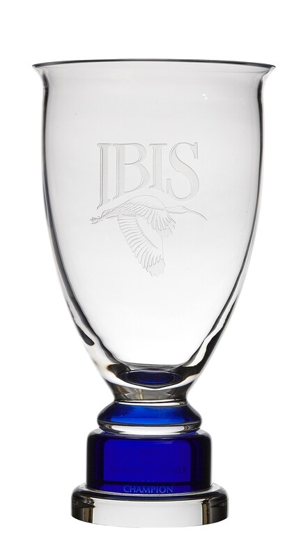 Triomphe Cup Blue - 3 sizes