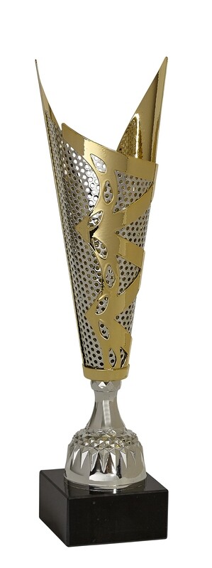 Silver and Gold Metal Cup